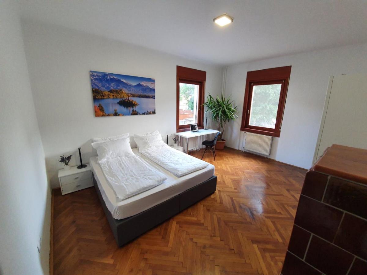 Huge Bbq Garden 2, Spacious Flat, Ac, Free Parking 2 Любляна Екстериор снимка