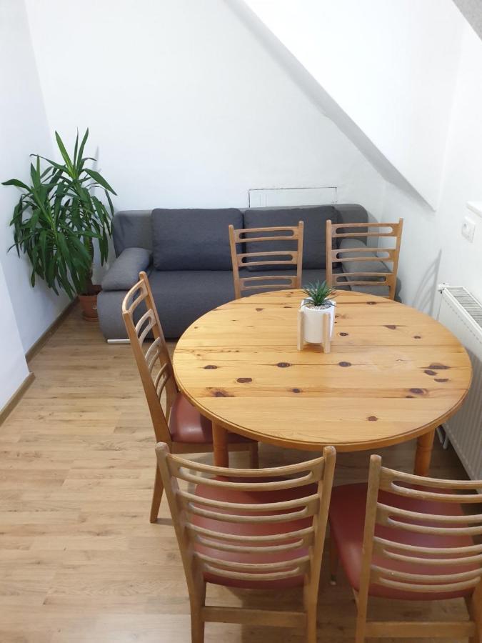 Huge Bbq Garden 2, Spacious Flat, Ac, Free Parking 2 Любляна Екстериор снимка