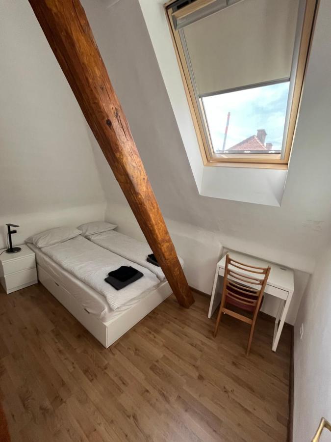 Huge Bbq Garden 2, Spacious Flat, Ac, Free Parking 2 Любляна Екстериор снимка