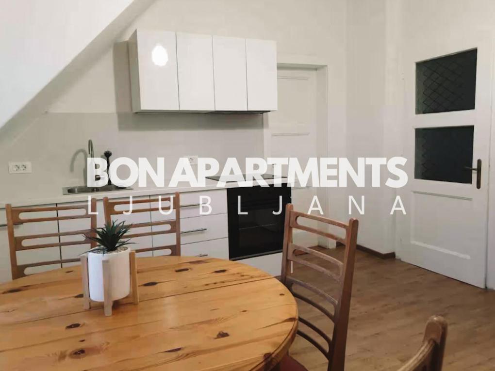 Huge Bbq Garden 2, Spacious Flat, Ac, Free Parking 2 Любляна Екстериор снимка