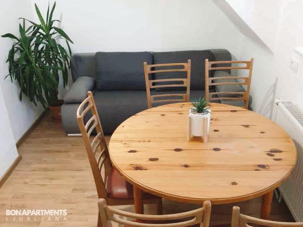 Huge Bbq Garden 2, Spacious Flat, Ac, Free Parking 2 Любляна Екстериор снимка